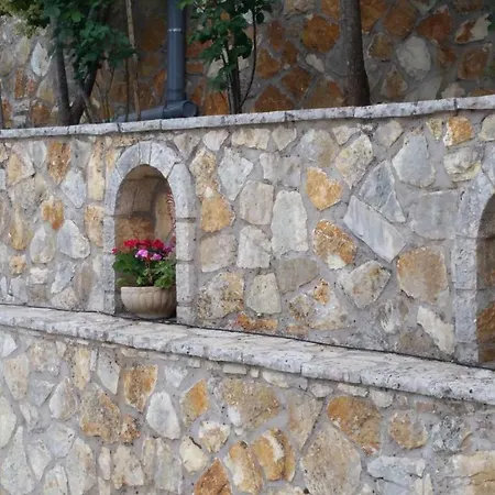 Aloe * Απόλπαινα